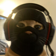 バガボンド skins.army