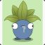 Oddish