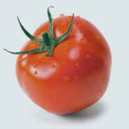Tomatovo