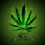 ♥420♥