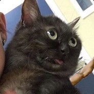 .KY - steam id 76561197971783857