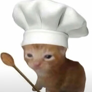 chef cat