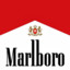 marlboro