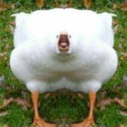 TuRmIx avatar