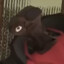 Blazkey74