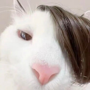 春风精灵赐我神力