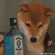 湘菜首席研究员