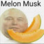 melon musk