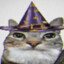 Wizard Cat