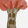 Ent's Avatar