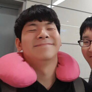 人间有味是清欢