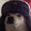 Communist Doggo