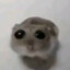 Karoibabo