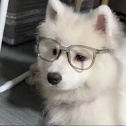 名为来生地花束