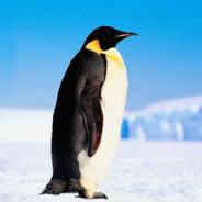 ̸P̸̸I̸̸N̸̸G̸̸V̸̸I̸̸