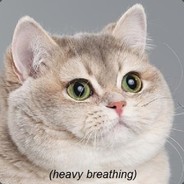 fatfluffycat avatar