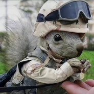 小𝔂的𝔻𝕀𝕐