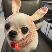 这里有一场给你的风暴