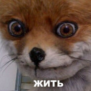 Смерть в нищете