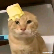 哈基米哟南北绿豆～