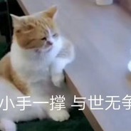 萧萧萧萧萧艺学