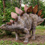 Stegosaurus