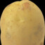 potato