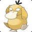 Psyduck