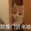 小猫薯片