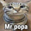 Mr Popa