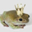 king frog