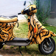 skuteri - steam id 76561199030784361