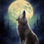Howlsatmoon