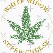 СырБелойВдовы