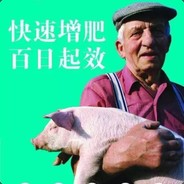 a    安徽猪饲料总代理