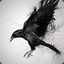 Crow-