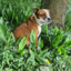 Bislaw_