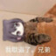 致敬传奇肘击仙人牢董