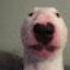 RLD