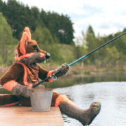 Fish'n Furry