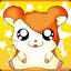 X Hamster