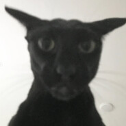 Avatar snapshot
