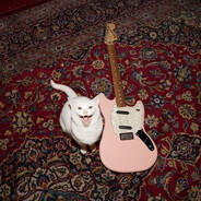 ⋆˚✿˖° Kosillo ₊˚⊹⋆