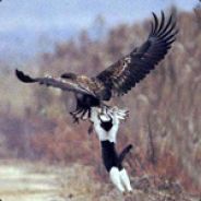 Joel - steam id 76561197970664185