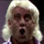 Ric Flair