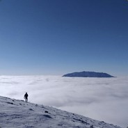 Big Avatar