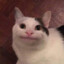 leotheprogamer
