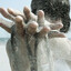 sand's avatar