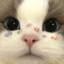 =