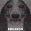 shadow_marmota